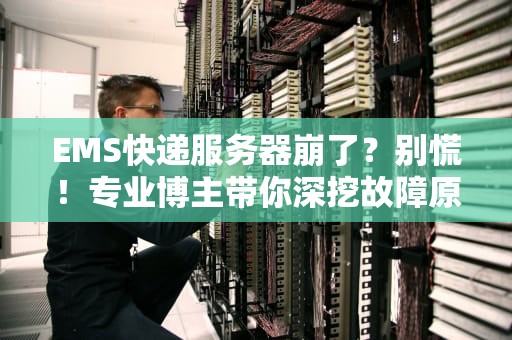 EMS快递服务器崩了？别慌！专业博主带你深挖故障原因+解决方案