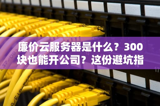廉价云服务器是什么？300块也能开公司？这份避坑指南让你笑中带泪！