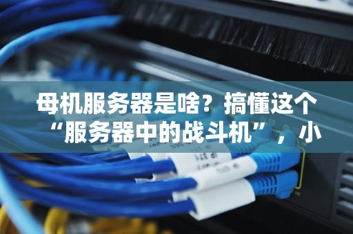 母机服务器是啥？搞懂这个“服务器中的战斗机”，小白也能变大神！