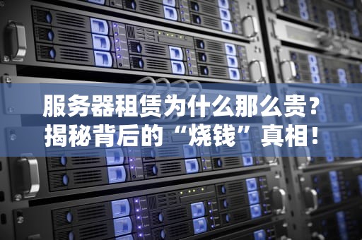 服务器租赁为什么那么贵？揭秘背后的“烧钱”真相！