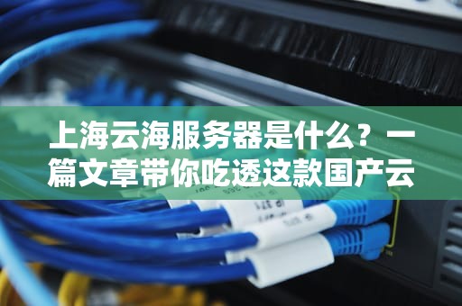 上海云海服务器是什么？一篇文章带你吃透这款国产云服务“黑马”！