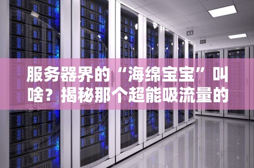 服务器界的“海绵宝宝”叫啥？揭秘那个超能吸流量的海绵网！