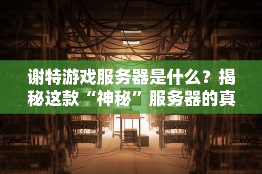 谢特游戏服务器是什么？揭秘这款“神秘”服务器的真实性能与槽点！