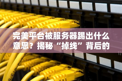 完美平台被服务器踢出什么意思？揭秘“掉线”背后的技术真相！
