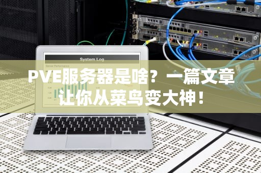 PVE服务器是啥？一篇文章让你从菜鸟变大神！
