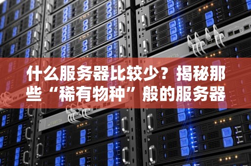 什么服务器比较少？揭秘那些“稀有物种”般的服务器类型！
