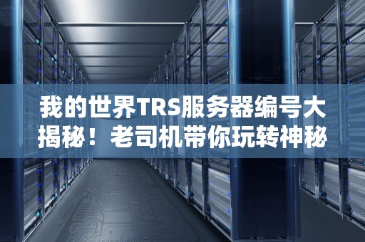我的世界TRS服务器编号大揭秘！老司机带你玩转神秘代码