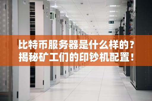 比特币服务器是什么样的？揭秘矿工们的印钞机配置！