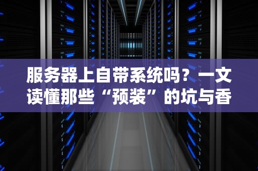 服务器上自带系统吗？一文读懂那些“预装”的坑与香！