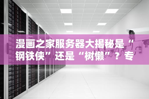 漫画之家服务器大揭秘是“钢铁侠”还是“树懒”？专业测评带你一探究竟！