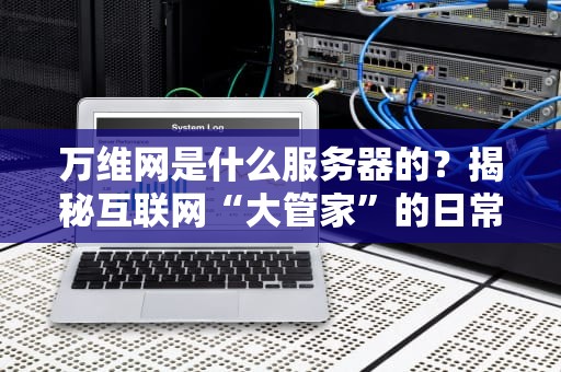 万维网是什么服务器的？揭秘互联网“大管家”的日常（附硬核科普+搞笑比喻）