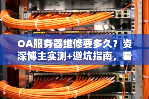 OA服务器维修要多久？资深博主实测+避坑指南，看完秒懂！