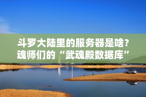 斗罗大陆里的服务器是啥？魂师们的“武魂殿数据库”大揭秘！