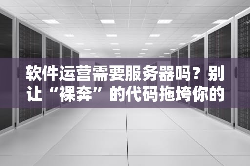 软件运营需要服务器吗？别让“裸奔”的代码拖垮你的业务！