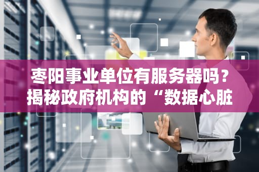 枣阳事业单位有服务器吗？揭秘政府机构的“数据心脏”