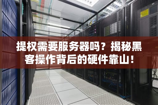 提权需要服务器吗？揭秘黑客操作背后的硬件靠山！