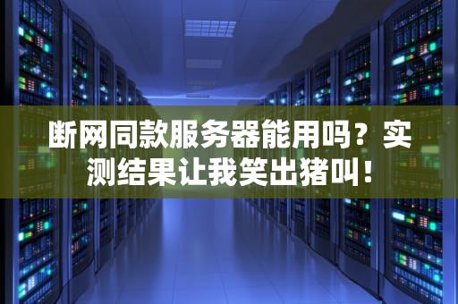 断网同款服务器能用吗？实测结果让我笑出猪叫！
