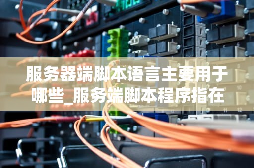 服务器端脚本语言主要用于哪些_服务端脚本程序指在什么上运行的程序_服务器端脚本语言的应用与重要性