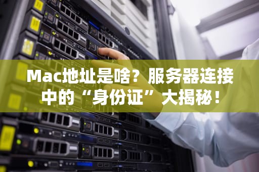 Mac地址是啥？服务器连接中的“身份证”大揭秘！