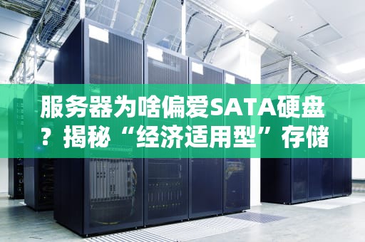 服务器为啥偏爱SATA硬盘？揭秘“经济适用型”存储的逆袭之路！
