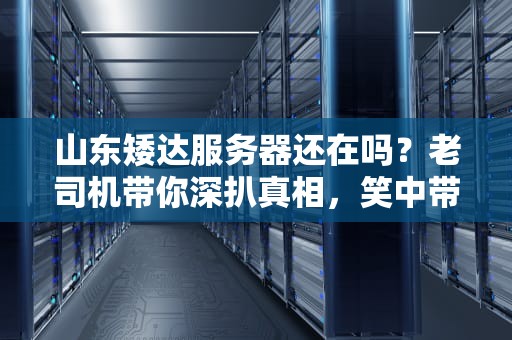 山东矮达服务器还在吗？老司机带你深扒真相，笑中带泪的测评！