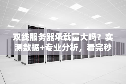 双线服务器承载量大吗？实测数据+专业分析，看完秒懂！