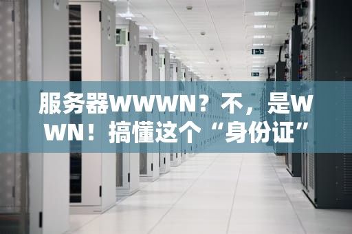 服务器WWWN？不，是WWN！搞懂这个“身份证”，运维不再懵圈！