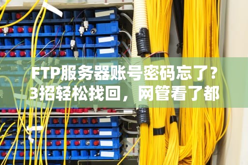 FTP服务器账号密码忘了？3招轻松找回，网管看了都直呼内行！