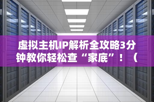 虚拟主机IP解析全攻略3分钟教你轻松查“家底”！（附专业工具实测）