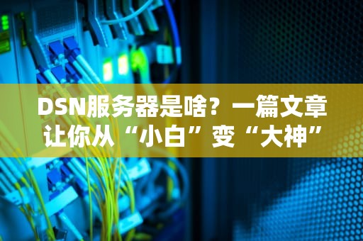 DSN服务器是啥？一篇文章让你从“小白”变“大神”（附实战测评）