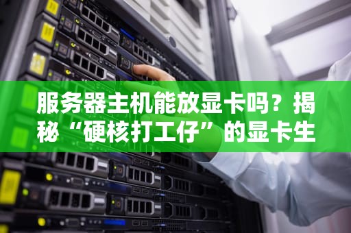 服务器主机能放显卡吗？揭秘“硬核打工仔”的显卡生存指南！