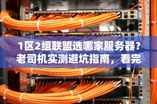 1区2组联盟选哪家服务器？老司机实测避坑指南，看完秒懂！