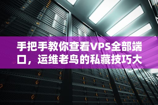 手把手教你查看VPS全部端口，运维老鸟的私藏技巧大公开！