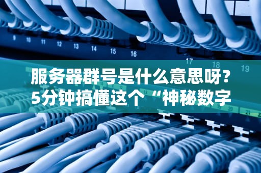 服务器群号是什么意思呀？5分钟搞懂这个“神秘数字”的真相！