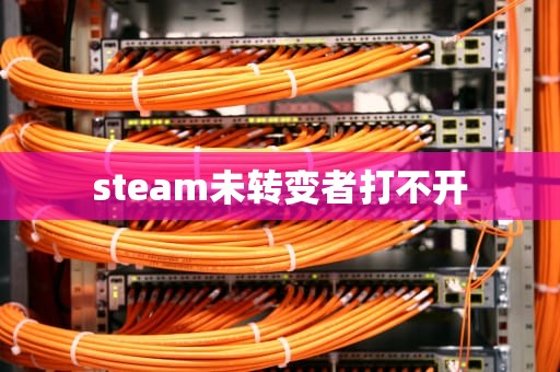 steam未转变者打不开