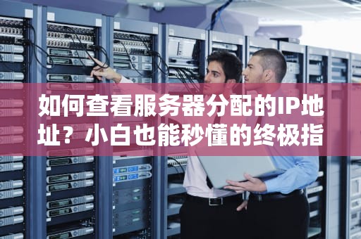 如何查看服务器分配的IP地址？小白也能秒懂的终极指南