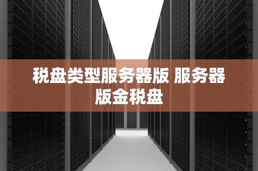 税盘类型服务器版 服务器版金税盘