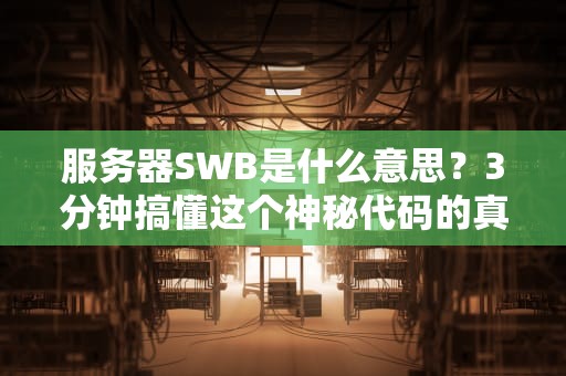 服务器SWB是什么意思？3分钟搞懂这个神秘代码的真相！
