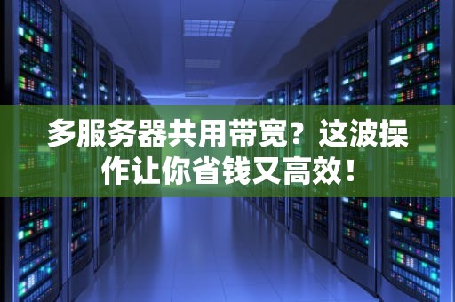 多服务器共用带宽？这波操作让你省钱又高效！