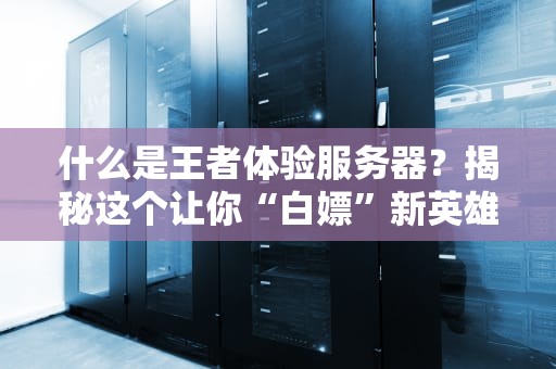 什么是王者体验服务器？揭秘这个让你“白嫖”新英雄的神奇地带！