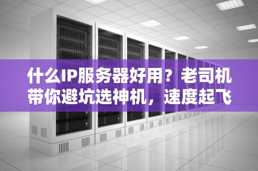 什么IP服务器好用？老司机带你避坑选神机，速度起飞不翻车！