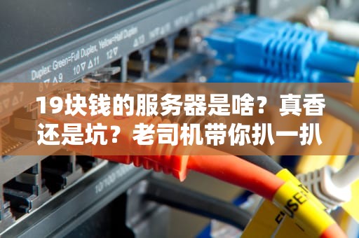 19块钱的服务器是啥？真香还是坑？老司机带你扒一扒！
