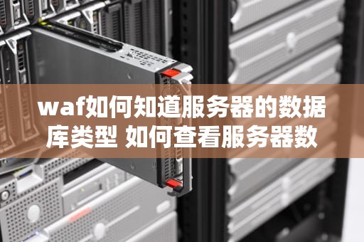 waf如何知道服务器的数据库类型 如何查看服务器数据库类型