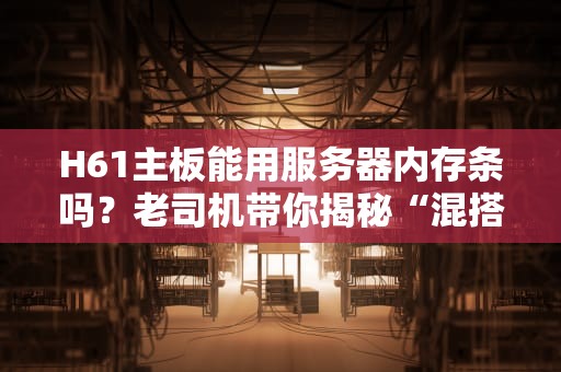 H61主板能用服务器内存条吗？老司机带你揭秘“混搭”玄机！