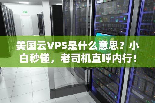 美国云VPS是什么意思？小白秒懂，老司机直呼内行！