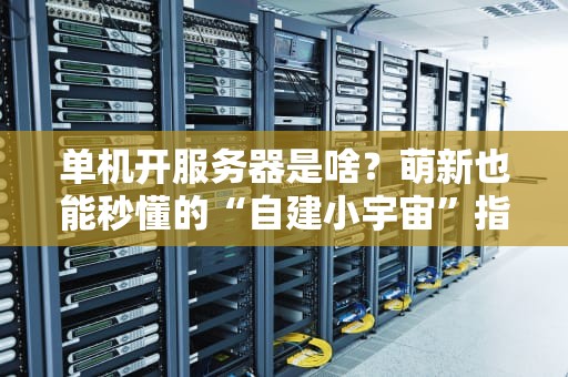 单机开服务器是啥？萌新也能秒懂的“自建小宇宙”指南！