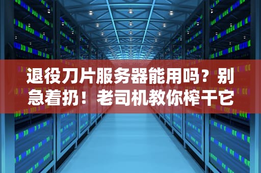 退役刀片服务器能用吗？别急着扔！老司机教你榨干它的最后一滴性能