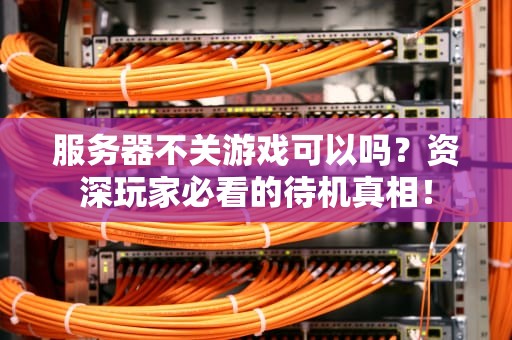 服务器不关游戏可以吗？资深玩家必看的待机真相！