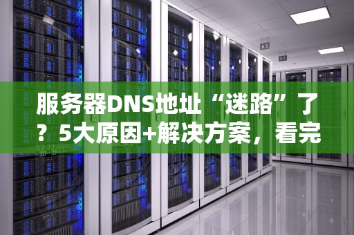 服务器DNS地址“迷路”了？5大原因+解决方案，看完秒懂！