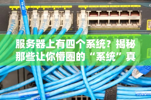 服务器上有四个系统？揭秘那些让你懵圈的“系统”真相！